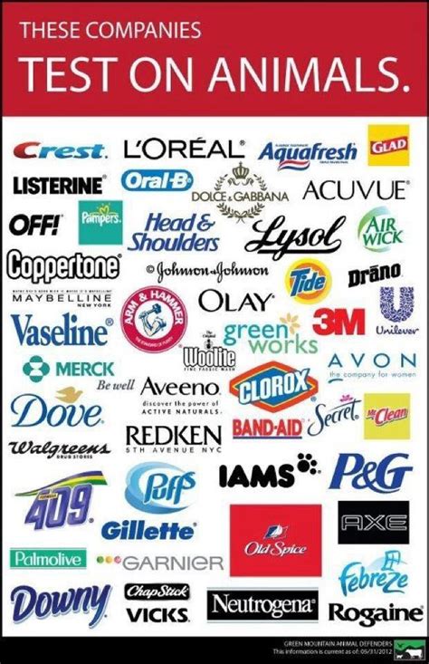Companies That Do Test on Animals .